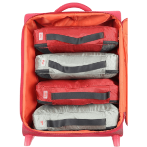 Carryon bag with 4 Compass Rose Packing Cubes neatly packed in.